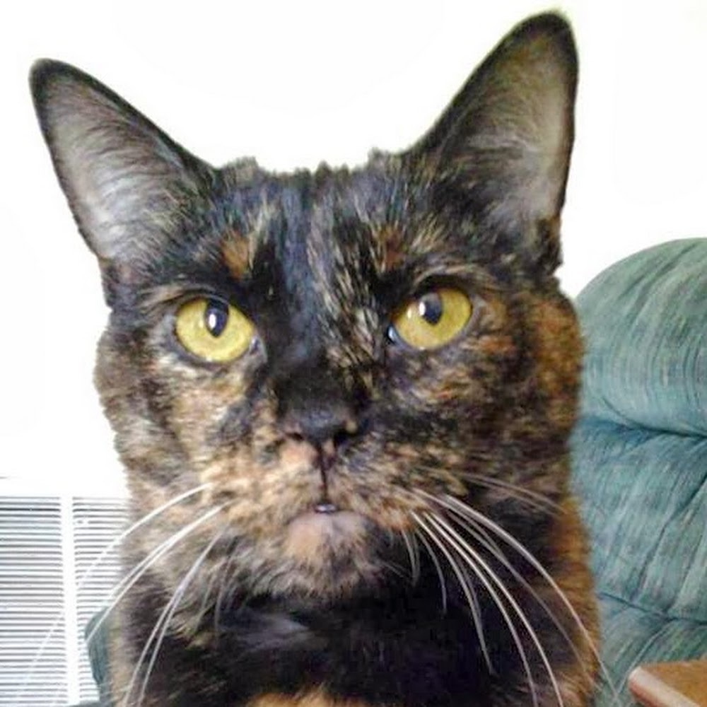 Meet your Posher, Christine